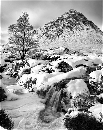 jcp_glencoe
