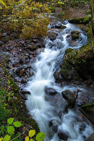 Dollar Burn, Dollar Glen, Dollar, Scotland