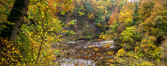 Clyde Valley Autumn