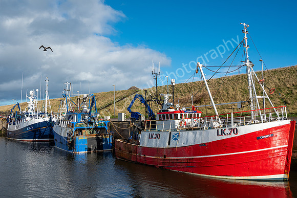 Fishing Boats, Eyemouth Harbour 02