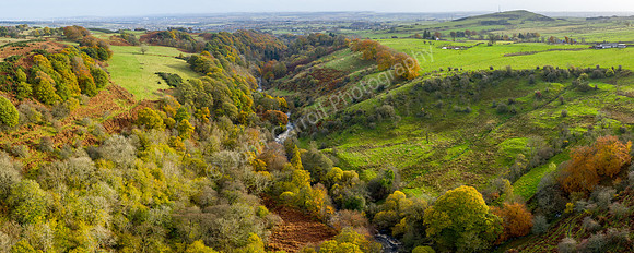 Carron Glen, Falkirk