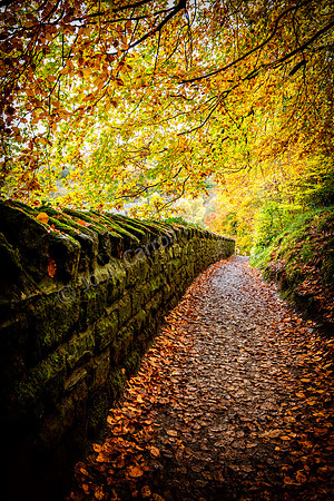 New Lanark Autumn